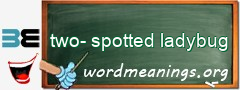 WordMeaning blackboard for two-spotted ladybug